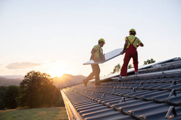 Best Roof Moss and Algae Removal  in Salem, VA